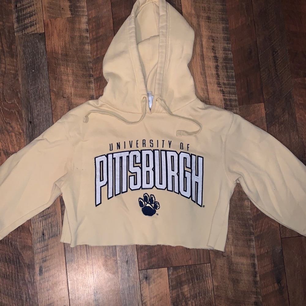 University of Pittsburgh cropped sweatshirt